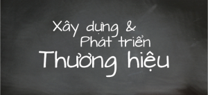 Tư vấn Thương hiệu